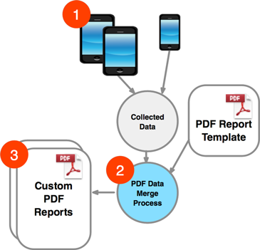 safety reporting software daily safety reports
